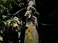 -陕西自然博物馆