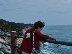 -广东惠东海龟国家级自然保护区