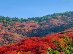 -空心山旅游区