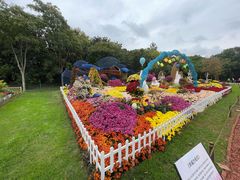 -上海共青森林公园