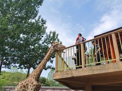 -大连森林动物园