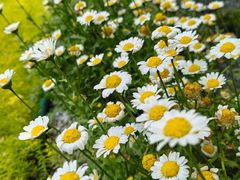 -山东省千佛山医院