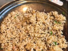 -蘑统田下·野生菌火锅