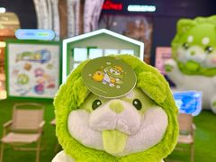 -哈尔滨热雪奇迹
