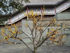-南京市江宁方山
