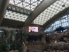 -杭州开元森泊度假乐园