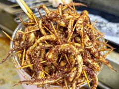 -郑记•不夜城烧烤•龙虾•虾蟹(黄鹤楼店)