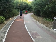 -回龙观体育文化公园