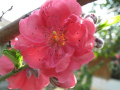 -龙潭生态旅游度假区