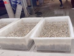 炒花蛤-老虎滩大连海鲜烧烤(建邺云锦路总店)