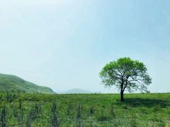 -乌兰布统草原