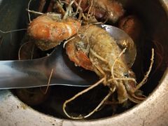 -长安胡椒虾(吉林分店)