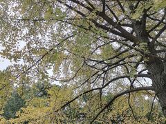 -苏州河梦清园环保主题公园