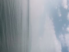 -古尚锦酒楼·水上餐厅