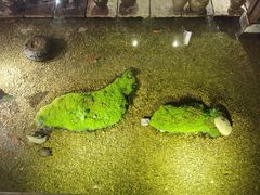 -几荷·恰似故人来(秀水广场店)