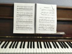 -弘智卉艺术教育/高端琴房(中央音乐学院店)