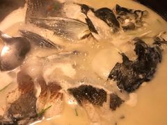 千岛湖鱼头-丰乐餐厅·始于1999·本地老字号