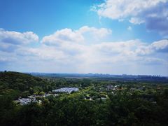 -上海佘山国家森林公园西佘山园