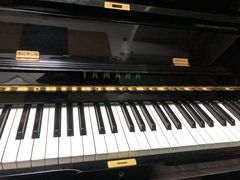 -梅纳·钢琴声乐架子鼓Mena Music(双井店)