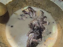 -云海肴云南菜·蒸汽石锅鱼(北京良乡华冠店)