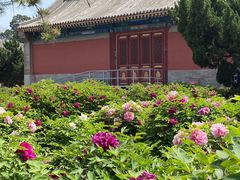 -大钟寺古钟博物馆