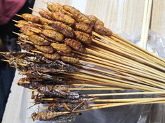 -大学城夜市大排档(凤栖路店)