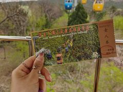 -千佛山风景名胜区