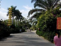 android_upload_pic-三亚珠江南田温泉度假区