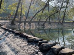 -鹿亭中村