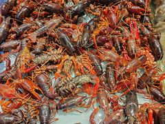 -鼎香缘海鲜自助火锅烤肉(锦辉购物广场店)
