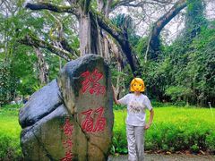 -瑞丽独树成林风景区