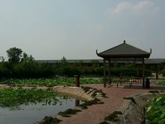 -灵山莲花公园-温泉度假区