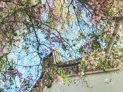 -深圳国际园林花卉博览园