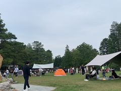 -东湖落雁景区