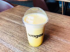 -Wagas沃歌斯(大学路店)