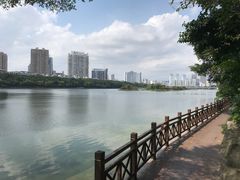 -南宁南湖公园