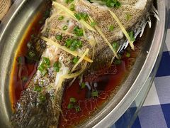 清蒸石斑鱼-钱大妈海鲜饭店(保利林语店)