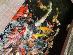 -侠成水上农庄(工业大道店)