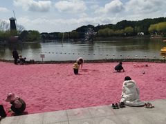 -上海鲜花港