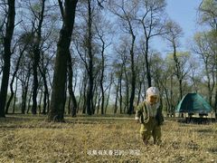 -潇河湿地公园