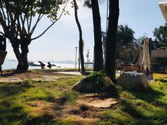 -黄金海岸环岛路