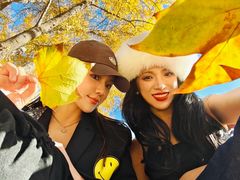 -三里屯东五街银杏大道