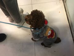 -一代烤翅王(大汉口店)
