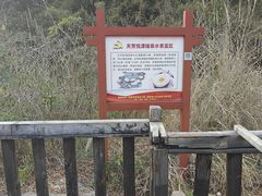 -天芳悦潭度假村温泉