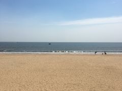 -日照海滨国家森林公园