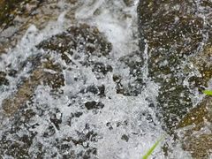-长沙黑麋峰国家森林公园