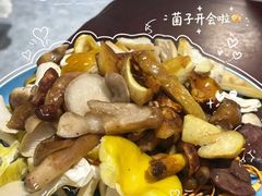 -菌之家·专业纯野生菌火锅·特色炒菌