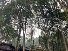 -青城山