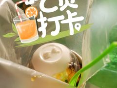 -Salud撒露欧洲冻酸奶(北苑上品店)