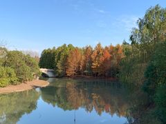 -上海海湾国家森林公园